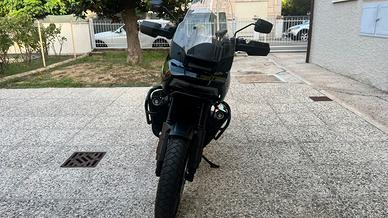 Harley davidson panamerica