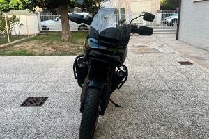 Harley davidson panamerica
