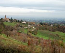 Villa indipendente in albinea/borzano