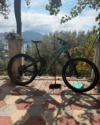 Canyon strive cfr