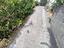 Immagine 24