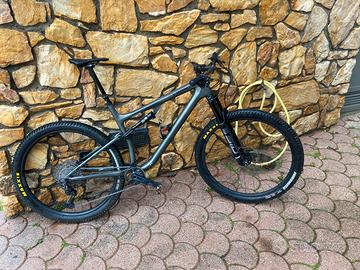 Specialized Epic Evo S Works