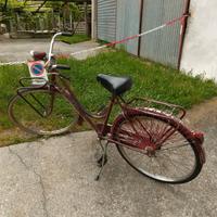 Bicicletta vintage frejus