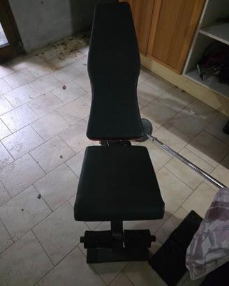 palestra