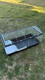 Gabbia per Conigli o altri animali