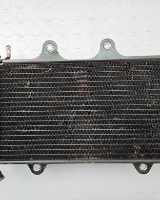 RADIATORE ACQUA KTM RC 390 2015 2016