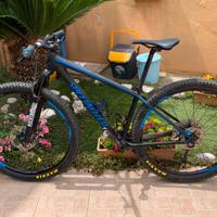 Specialized Epic 29