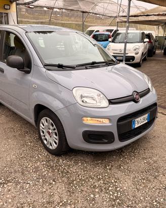 Fiat Panda 1.2 Unica Proprietaria Euro 6B