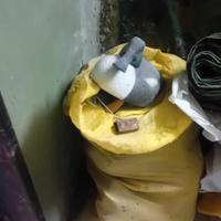 articolo per la caccia