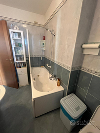 Trilocale semi nuovo