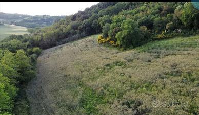 Terreno seminati e boschivo