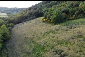 Terreno seminati e boschivo