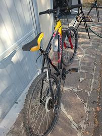 Mountain bike 