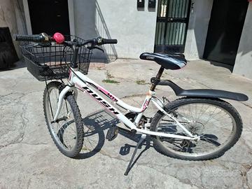 bici ragazza 10/12 anni
