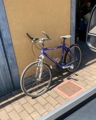 Mountain bike meriva
