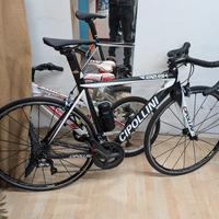 Cipollini RB0,8k