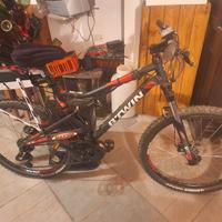 bicicletta elettrificata