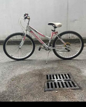 Bici montain bike