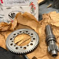 BACCI Coppia conica 13/61 - Cambio sequenziale 6M