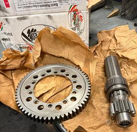 BACCI Coppia conica 13/61 - Cambio sequenziale 6M