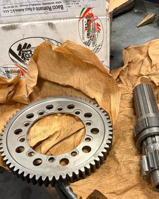 BACCI Coppia conica 13/61 - Cambio sequenziale 6M