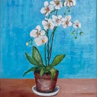 quadro orchidea bianca 24 x 30 