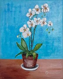 quadro orchidea bianca 24 x 30 