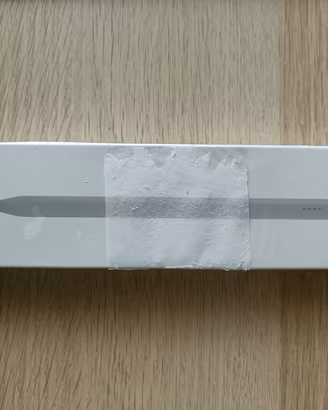 Penna touch per iPad