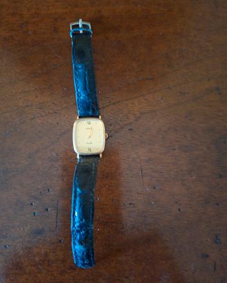 orologio Vetta Incabloc