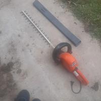 tagliasiepi elettrico echo