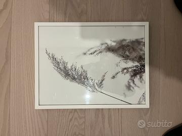 Poster con cornice