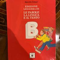 Le Parole la Lingua e il Testo Vol B