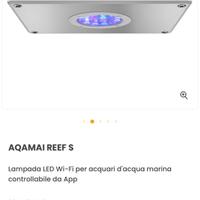 Plafoniera acquario marino