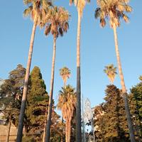 Disponibilità camera settimanale o giornaliera