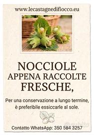 NOCCIOLE CON BUCCIA  al kg