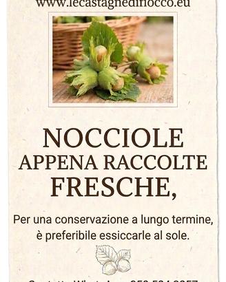NOCCIOLE CON BUCCIA  al kg