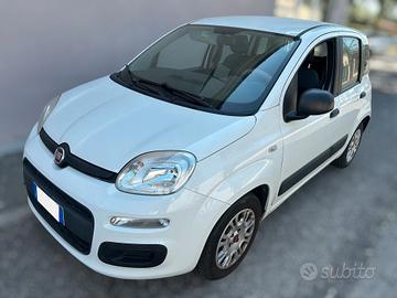Fiat Panda 1.2 69cv - ANCHE PER NEOPATENTATI