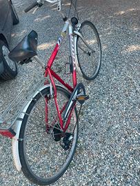 Bicicletta Vertek rossa e argento - cambio Shimano