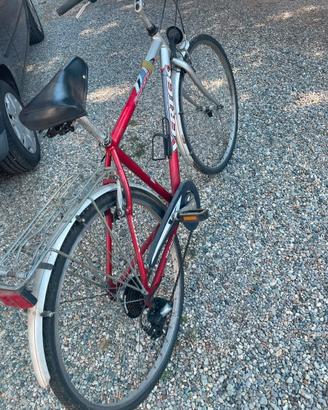 Bicicletta Vertek rossa e argento - cambio Shimano