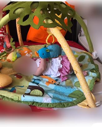 Kit gioco: apette e palestrina