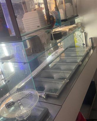 Bancone gelateria con 12 vashette.