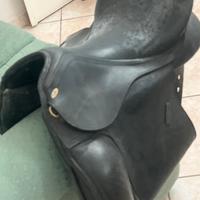 Sella dressage
