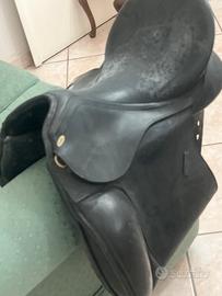 Sella dressage