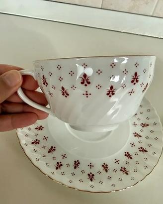 Coppia di tazze da tè con piattini Royal Tettau