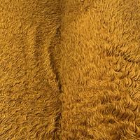 Coperta / copri divano