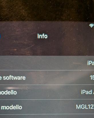 iPad Air 2 usato 