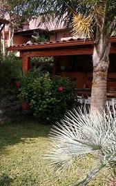 Porticato in legno lamellare color noce