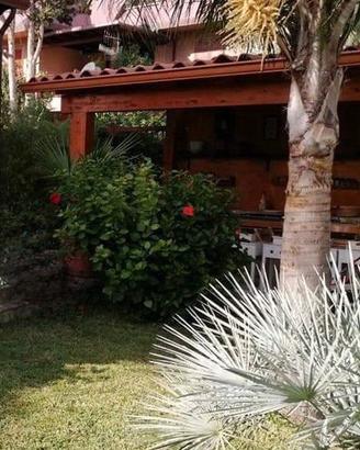 Porticato in legno lamellare color noce