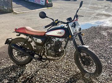 Mash Dirt Track 50 - 2018