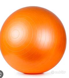 Fitball gymball